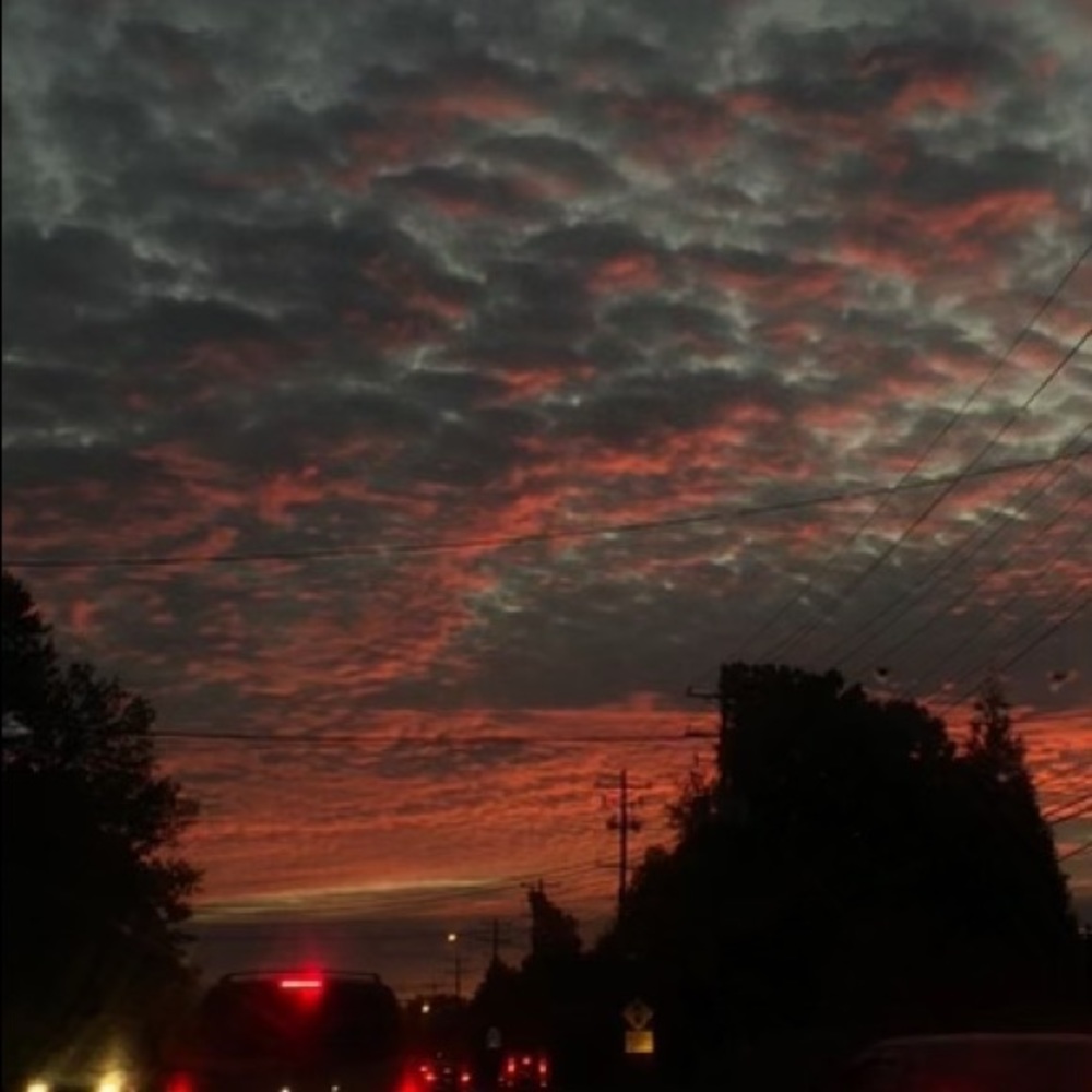 I love selling Express clothing & other Brands